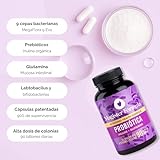Probioticos y Prebioticos Intestinales probióticos flora...