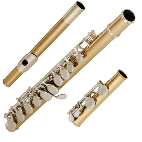 フルート 金属製 ケース付き 楽天市場】フルート（楽器・音響機器）の通販