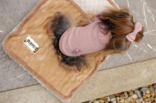 Colchao Cama pet para gatos e cahorros ortopedico