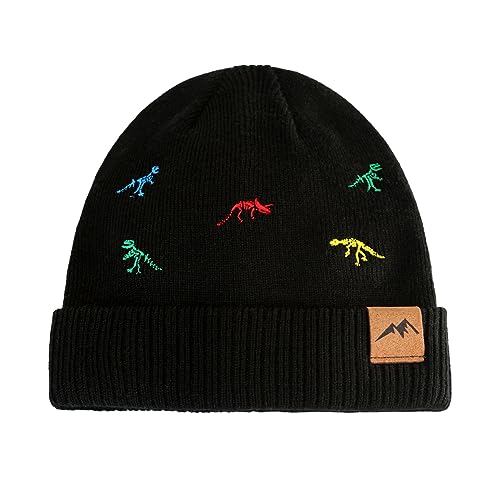 XIAOHAWANG Knit Toddler Beanies Girls Boys Cute Kids Winter Hat Infant Dinosaur Baby Beanie Hats (as1, Age, 0_Month, 6_Months, A-Black)
