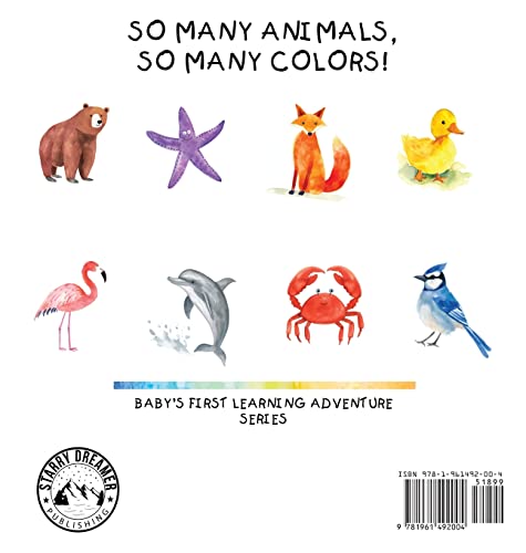 Rainbow Safari: A colorful animal adventure for young learners (Baby's First Learning Adventure) - Image 2