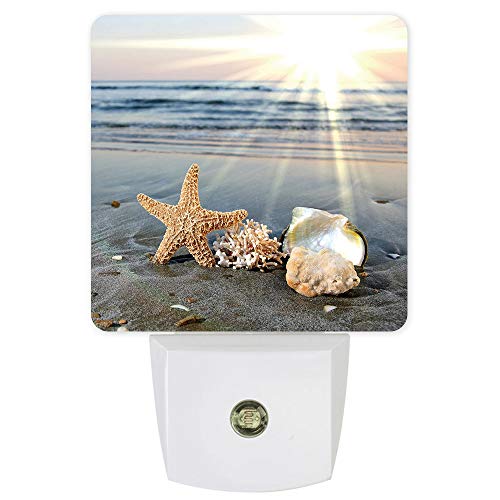 Plug-in LED Night Lights Lamp Sea Starfish Shells Coastal Scents Printed Auto Dusk-to-Dawn Sensor for Bedroom, Bathroom, Kitchen, Nursery,Hallway,Stairs,Wall Home Decor, Blue Yellow
