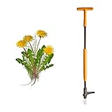 Stand Up Weed Puller Tool with Long Handle - 39" Ergonomic Weeder Puller - Heavy Duty Weed Remover for Weeding Without Bending or Kneeling - Garden Tools for Gardening by Garret Wade