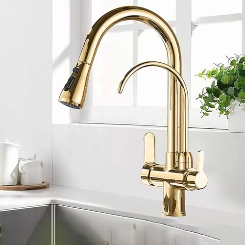 Robinet de cuisine à col de cygne avec filtre à eau intégré et douchette double extractible