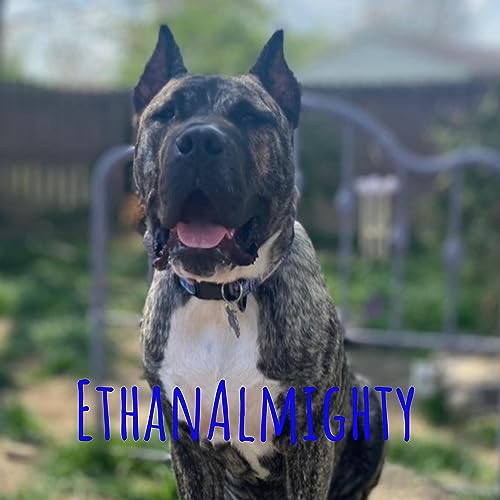 『Episode 5-Maxine Trainer Part 2』のカバーアート