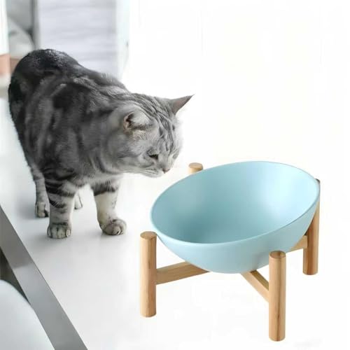 XΎybg{EAt[h{EALbgt[h{EAeʃZ~bNEH[^[{EAؐybg{EA~߃fUCAvŎO\AȒPAL̋ayɂ܂BybgpiB (300ML,B)