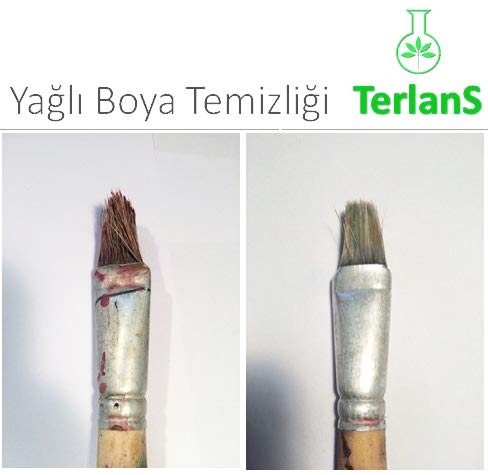 Terlans Sanatsal Boya ve Fırça Temizleyici 500 ml
