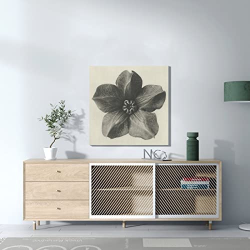 Illustration monochrome ancienne fleur tableau décoratif rétro