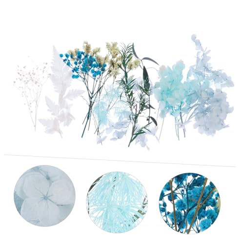 Kit de flores secas para manualidades y decoración miniatura 6