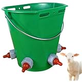 Facile à nettoyer et à transporter : la conception ergonomique comprend des poignées qui facilitent le transport et le nettoyage rapide, empêchant l'accumulation de saleté et maintenant les normes d'hygiène essentielles à une croissance saine des animaux.
