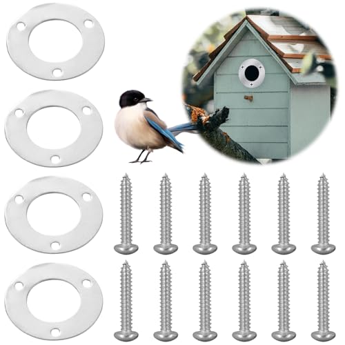 Protección de Acero Inoxidable para Caja de Jardín, 4 Piezas Accesorios para Pajarera de Exterior, Protección de Agujero de Mosca de Cal de Carbón Placa de Protección