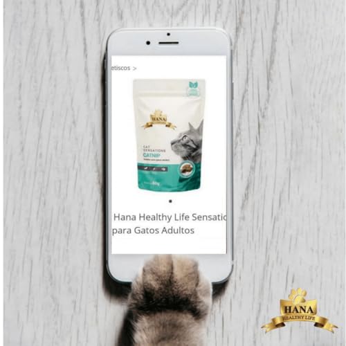 Hana Healthy Life Hana Nuggets Catnip 60G