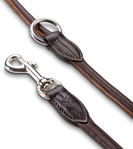 Premium Leder Hundeleine Dora 2,0m - Hunde Leder Leine mit Karabiner - verstellbar Dora (Braun)