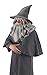 elope Gandalf Beard and Wig