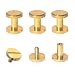 DGOL 50 Pairs Brass Backscrews Golden Leather Fasteners Sturdy Binding Rivets Belt Strap Collar Back Screws PU Studs Length (0.315inch(8mm))