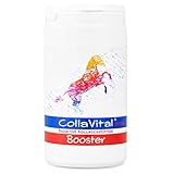 CollaVital® Horse Booster Kollagen TYP 2 Pulver 500 g - Gelenkpulver aus bioaktiven Kollagen Hydrolysat für Pferde 200g bioaktive Kollagenpeptide mit Chondroitinsulfat und Hyaluronsäure DE Germany