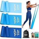 WALITO Resistance Bands for Working Out, Exercise Bands for Women and Men, Workout Bands for Physical Therapy, Stretch, Recovery, Pilates, Rehab, Strength Training and Home Gym