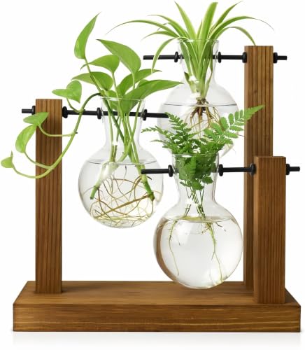 OVIMYNE Plant Propagation Station, Wooden Stand with 3 Glass Vases