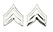 SGT Rank Insignia, Enlisted Army