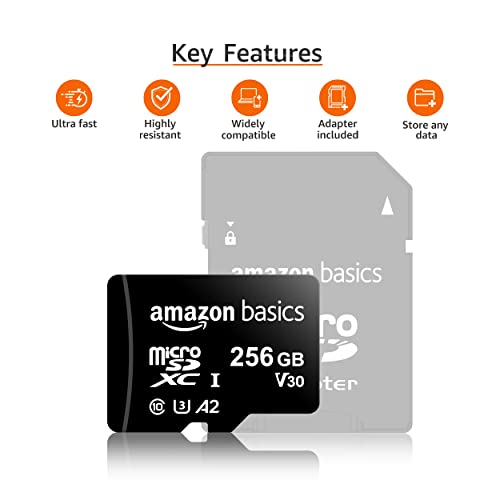 Amazon Basics Microsdxc Memory Card With Full Size Adapter, A2, U3, Read Speed Up To 100 Mb/S, 256 Gb #TOP1