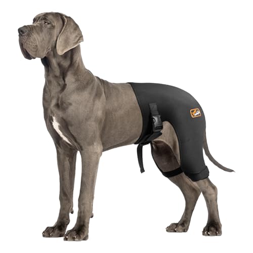 Dog Hip Brace with Hot/Cold Compress, Support for Hip Dysplasia, ...