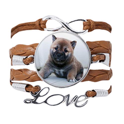 Bracelet chien mignon en corde de cuir noir à porter au quotidien pour afficher son style
