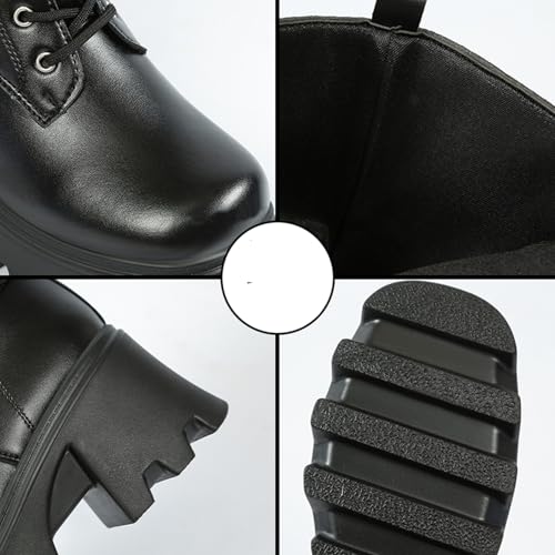 [GUREITOJP] 8cmAbv V[gu[c fB[X  SVbN TChWbv ҂ݏグ ʎY^ їp TuJn v  ₷ l L tF~j H~ \tg h 傫TCY Cxg 24.0 cm