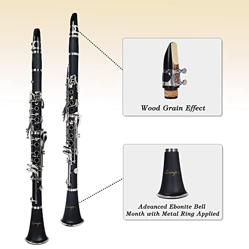 Aileen Lexington Cl3041N Bb Flat 17 Key Clarinet With Mouthpiece, Hard Case, Cork Grease, Gloves And Other Kit #TOP4