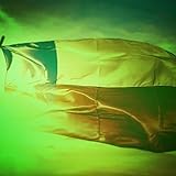 Omnium Records, a sub-sector of Omnium Music Group