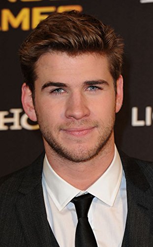 FranksMod 14x22 inch Liam Hemsworth Silk Poster 1GSF-5BB