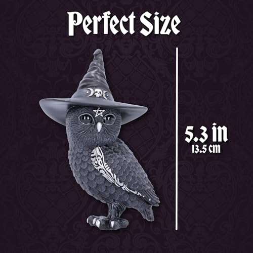 Nemesis Now Figurine Cult Cuties Owlocen Witches Hat Occult Owl - 13,5 cm/Figurka Cult Cuties zaczarowana sowa Owlocen - 13,5 cm [FIGURKA], Black