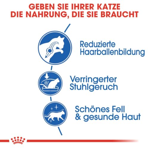 ROYAL CANIN Indoor Long Hair Trockennahrung für Katzen – 2 kg