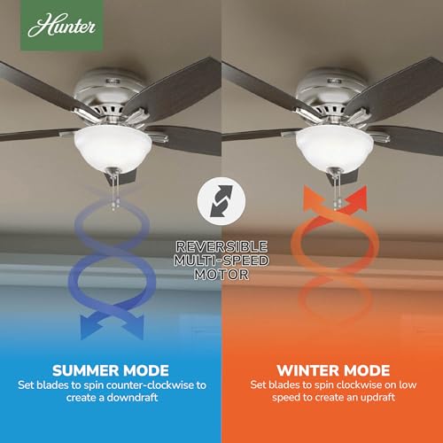 Image of Hunter Newsome, Indoor, Ceiling Fan, Pull Chain, 52 inch, Brushed Nickel