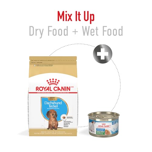 Royal Canin Breed Health Nutrition Dachshund Puppy Dry Dog Food, 2.5 lb Bag