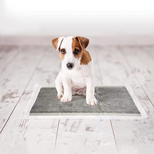 Duvo+ Empapadores de Orina para Perros – Talla M – 30 Unidades de 30 x 45 cm – Elaborados con Carbon Technology – Contiene 5 Capas Resistentes Anti-Roturas y Anti-Fugas – Ideal para Adiestramiento