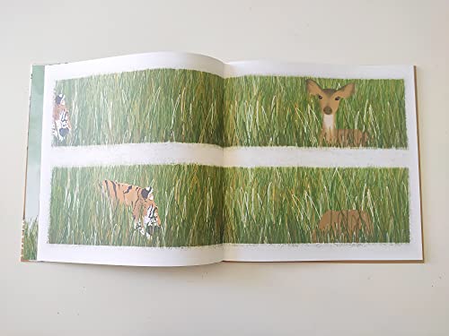 Nascondino. Ediz. A Colori - 2