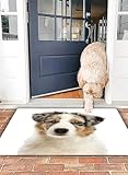 OHJEAJDS Tapis 40x60 cm,Super Absorbant Sèche Rapide,Tapis de Bain pour Portes de Salle de Bain,Salon,Chiot Berger Australien Blanc et Beige, Mois Un, Seul, canidé, Mignon, chie,Lavable Tapis de Bain