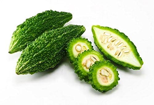 Bitter Guard Organic Vegetable Seed All Season Vegetables Seeds Pack of 10g Seeds to grow in Your Home & kitchen garden (B0CYSMD99F) Amazon Price History, Amazon Price Tracker