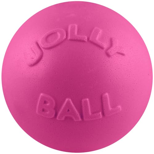 Jolly Pets Ballon rebondissant 8 po rose