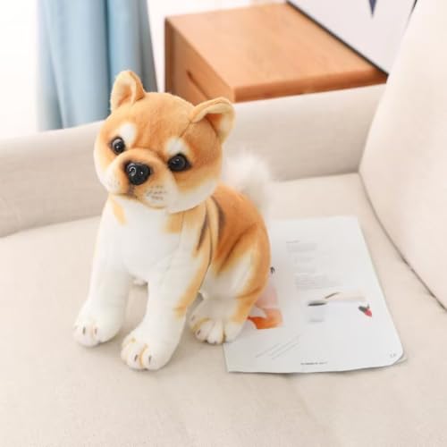 yousyu VoCkʂ Č ߋ Č CeAu Mtg 蕨 (20cm, A)