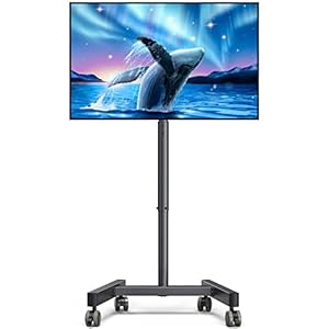 Perlegear TV Ständer Rollbar, TV Rollwagen für 13-50-Zoll-Fernseher mit 30° Neigung Universal TV Standfuß für LED/LCD/OLED-TV, Höhenverstellbar TV Standfuss Hält 20kg, Max. VESA 200x200mm