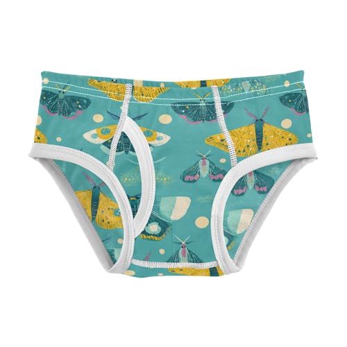 Wusikd Yellow Butterfly Boys' Underwear Cotton Teal Colors Boys Briefs Soft Toddler Underwear 2T