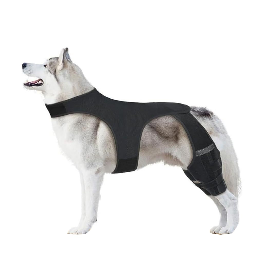 Genouillère pour chien âgé avec sangles réglables et tissu respirant