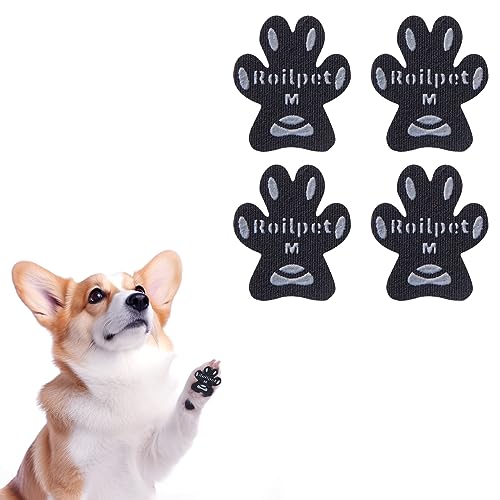 Roilpet  ~ V[ V⏕ ~߃V[ S ~ߌC e ϋv ]|h~  ی h~ Ҋ֐ߕی t[Oׂ~ ̃T|[g ׂ ~ tbg pbh (ȉ~