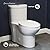 Sublime One Piece Elongated Toilet Dual Flush, Black Hardware 1.1/1.6 gpf