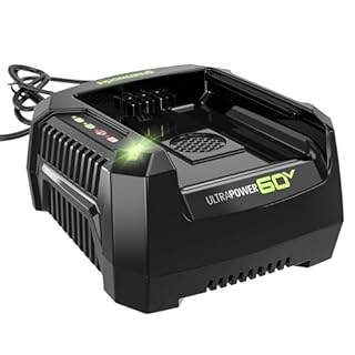 Greenworks Pro 60V Ultra Power 6A Rapid Charger - Works with All Greenworks Batteries