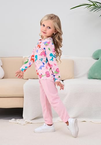 Image of Little Girls Outfits 2 Piece Toddler Long Sleeve Sweatshirt Leggings Pants Fall Winter Clothing Set 2-10 Years