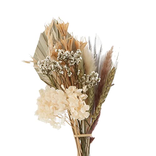 Gazechimp Decoração De Flores Secas, Arranjos De Folhas E Plantas Para Decoração Vaso De Decoração D