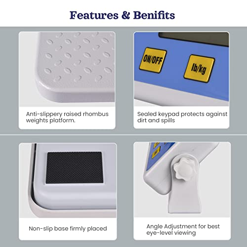 Scalebelly B0101VFMPS Professional Physician Scale thumb #3