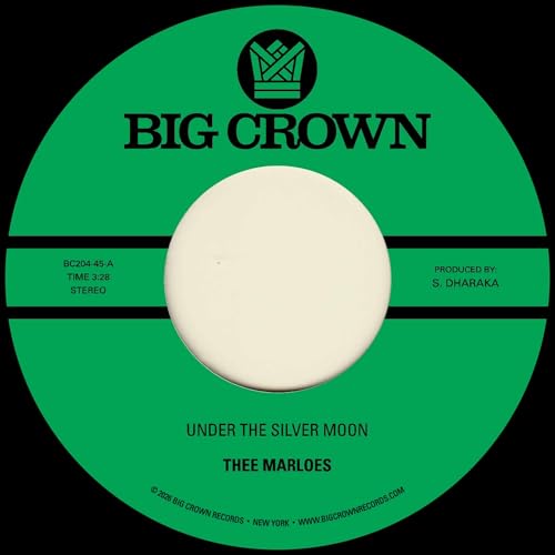Pochette de Under the Silver Moon + Through the Changes